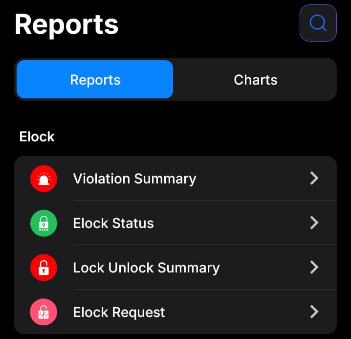 E-lock security